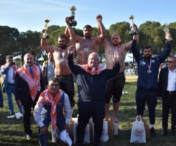Gömeç Belediyesi Yağlı Güreşleri